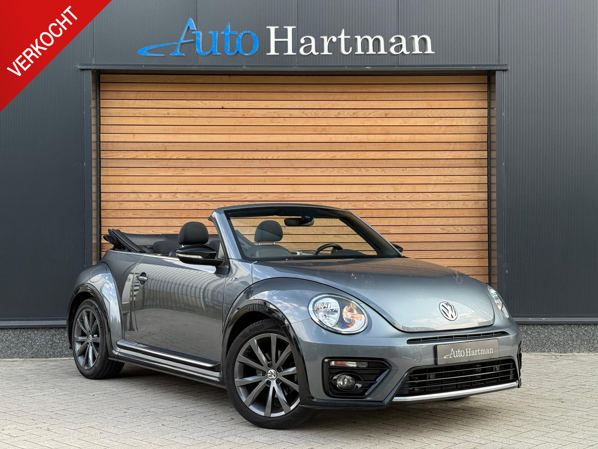 55596030